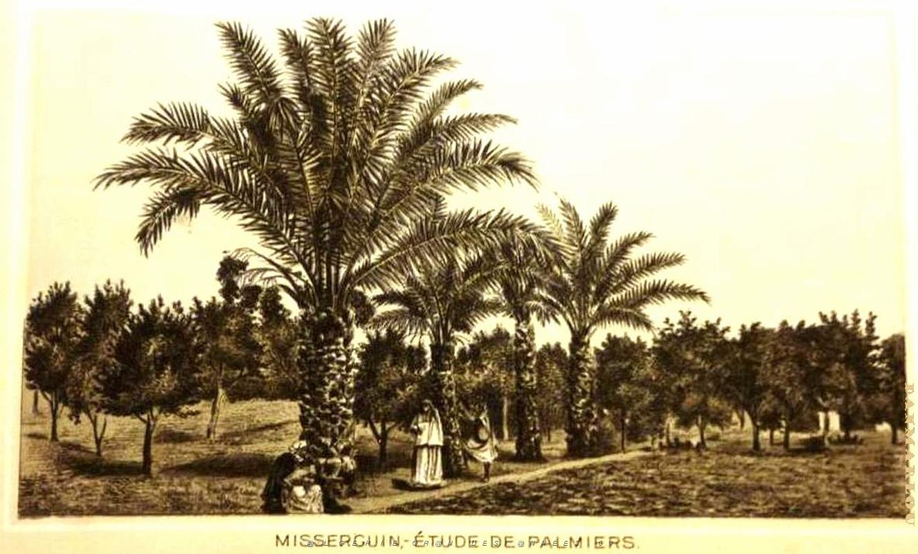 Z ORAN- ALBUM 09.jpg